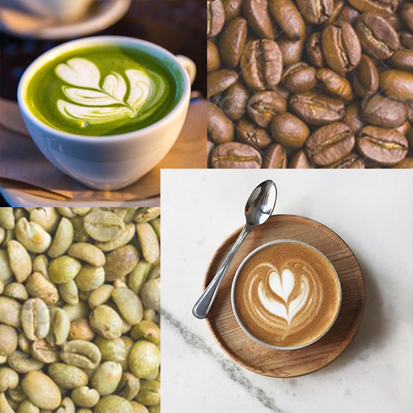 تفاوت قهوه سبز با قهوه برشته شده