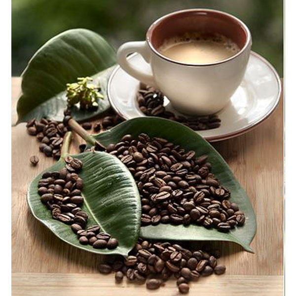قهوه ویتنام مدیوم
