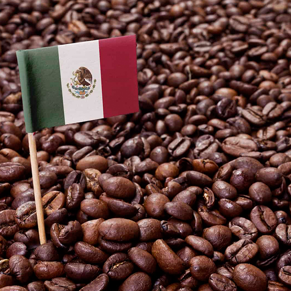 قیمت قهوه مکزیک