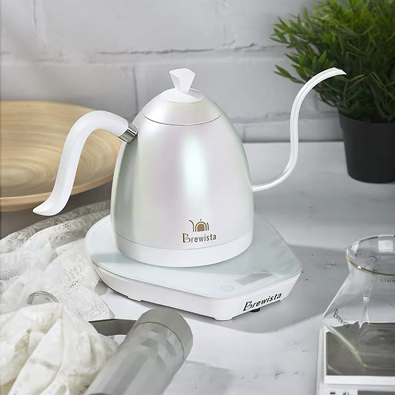کتل برقی برویستا 600 میل مدل Artisan Gooseneck Pro-Aurora White شفق قطبی