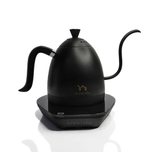 کتل برقی برویستا 600 میل مدل Artisan Gooseneck Pro-Pure Black